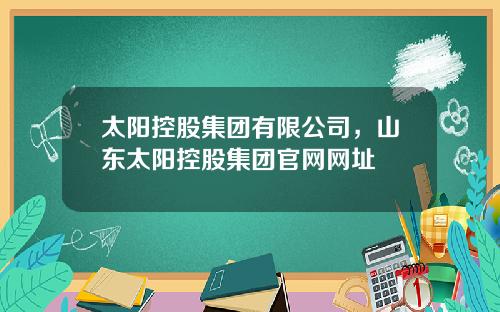 太阳控股集团有限公司，山东太阳控股集团官网网址