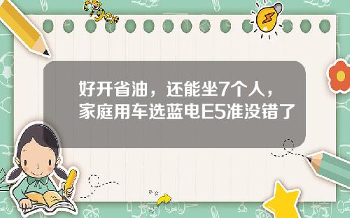 好开省油，还能坐7个人，家庭用车选蓝电E5准没错了