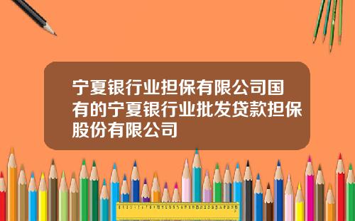 宁夏银行业担保有限公司国有的宁夏银行业批发贷款担保股份有限公司