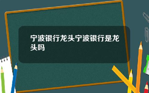 宁波银行龙头宁波银行是龙头吗