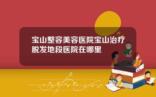 宝山整容美容医院宝山治疗脱发地段医院在哪里