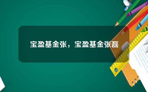 宝盈基金张，宝盈基金张磊