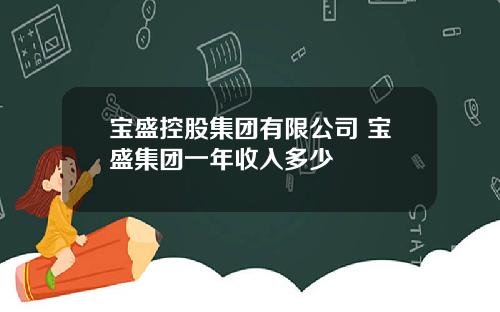 宝盛控股集团有限公司 宝盛集团一年收入多少