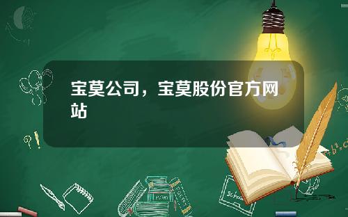 宝莫公司，宝莫股份官方网站
