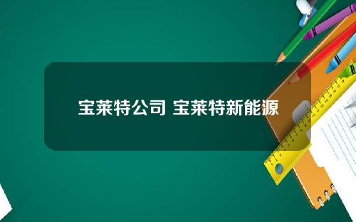 宝莱特公司 宝莱特新能源