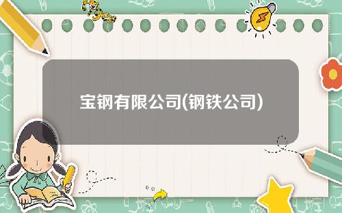 宝钢有限公司(钢铁公司)