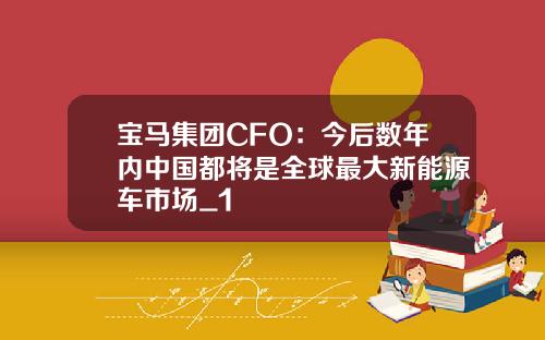 宝马集团CFO：今后数年内中国都将是全球最大新能源车市场_1