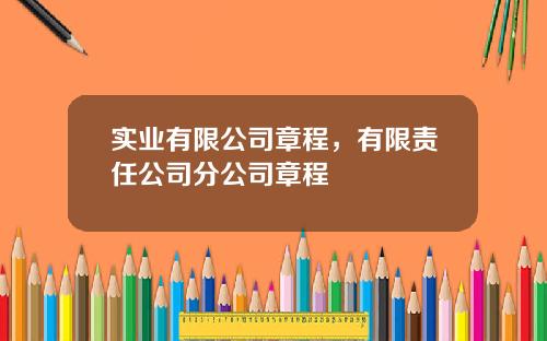 实业有限公司章程，有限责任公司分公司章程