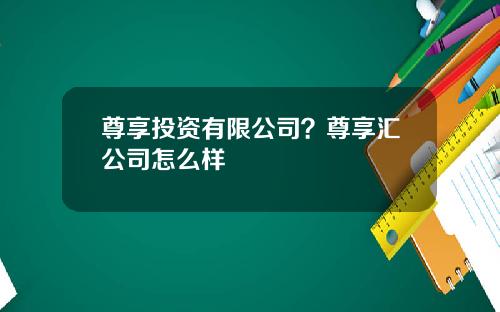 尊享投资有限公司？尊享汇公司怎么样