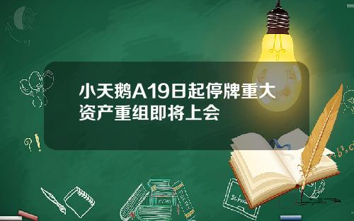小天鹅A19日起停牌重大资产重组即将上会