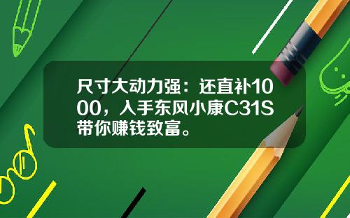 尺寸大动力强：还直补1000，入手东风小康C31S带你赚钱致富。