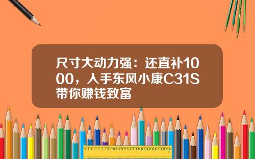 尺寸大动力强：还直补1000，入手东风小康C31S带你赚钱致富