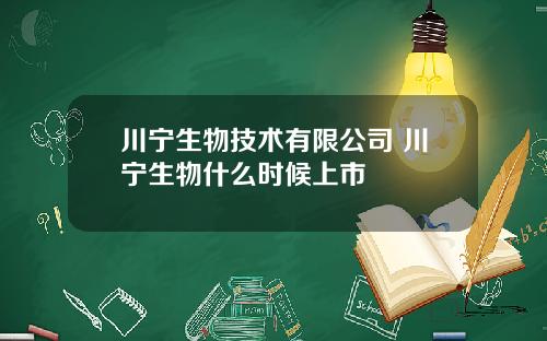 川宁生物技术有限公司 川宁生物什么时候上市