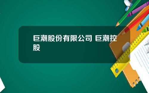 巨潮股份有限公司 巨潮控股
