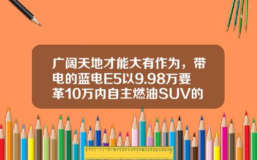 广阔天地才能大有作为，带电的蓝电E5以9.98万要革10万内自主燃油SUV的命了！