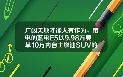 广阔天地才能大有作为，带电的蓝电E5以9.98万要革10万内自主燃油SUV的命