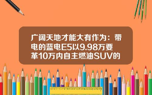 广阔天地才能大有作为：带电的蓝电E5以9.98万要革10万内自主燃油SUV的命