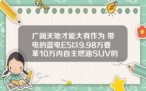 广阔天地才能大有作为 带电的蓝电E5以9.98万要革10万内自主燃油SUV的命了！