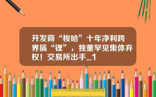 开发商“梭哈”十年净利跨界搞“锂”，独董罕见集体弃权！交易所出手_1