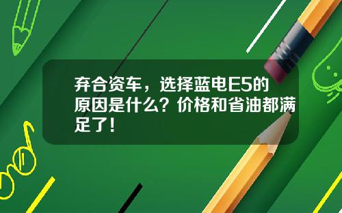 弃合资车，选择蓝电E5的原因是什么？价格和省油都满足了！