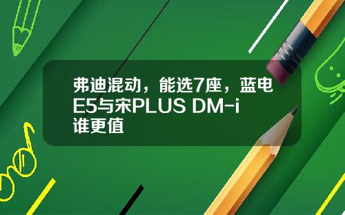 弗迪混动，能选7座，蓝电E5与宋PLUS DM-i谁更值