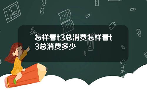 怎样看t3总消费怎样看t3总消费多少