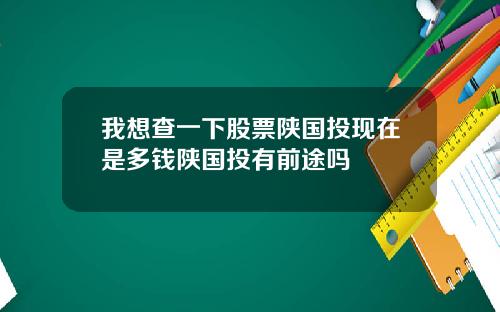 我想查一下股票陕国投现在是多钱陕国投有前途吗