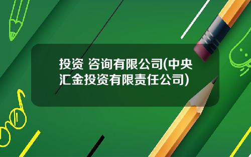 投资 咨询有限公司(中央汇金投资有限责任公司)