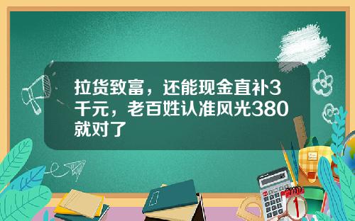 拉货致富，还能现金直补3千元，老百姓认准风光380就对了