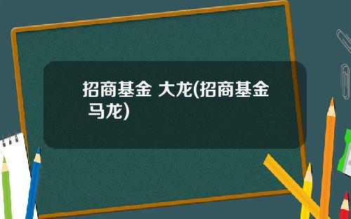 招商基金 大龙(招商基金 马龙)