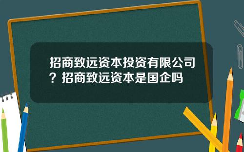 招商致远资本投资有限公司？招商致远资本是国企吗