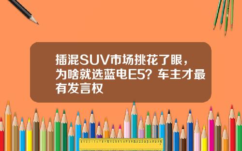 插混SUV市场挑花了眼，为啥就选蓝电E5？车主才最有发言权