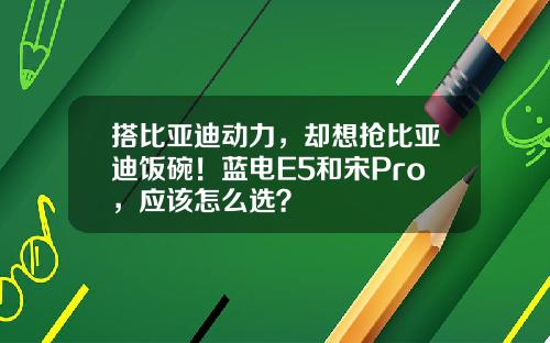 搭比亚迪动力，却想抢比亚迪饭碗！蓝电E5和宋Pro，应该怎么选？