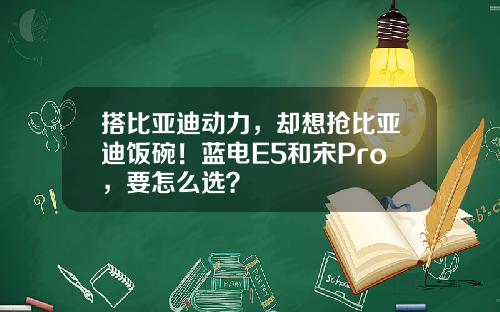 搭比亚迪动力，却想抢比亚迪饭碗！蓝电E5和宋Pro，要怎么选？