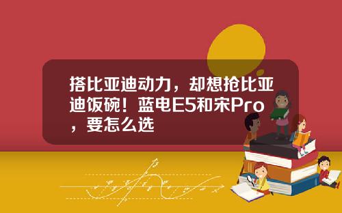 搭比亚迪动力，却想抢比亚迪饭碗！蓝电E5和宋Pro，要怎么选