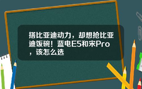 搭比亚迪动力，却想抢比亚迪饭碗！蓝电E5和宋Pro，该怎么选
