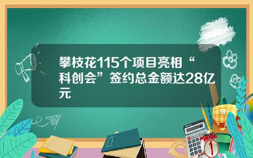 攀枝花115个项目亮相“科创会”签约总金额达28亿元