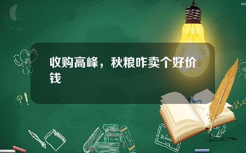 收购高峰，秋粮咋卖个好价钱