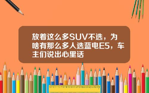 放着这么多SUV不选，为啥有那么多人选蓝电E5，车主们说出心里话
