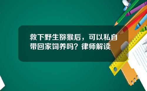救下野生猕猴后，可以私自带回家饲养吗？律师解读