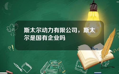 斯太尔动力有限公司，斯太尔是国有企业吗