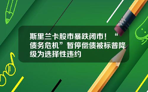 斯里兰卡股市暴跌闭市！“债务危机”暂停偿债被标普降级为选择性违约
