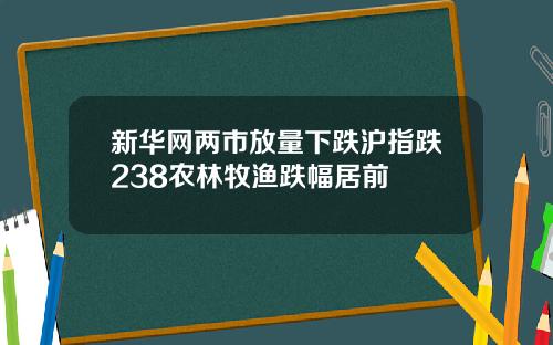 新华网两市放量下跌沪指跌238农林牧渔跌幅居前