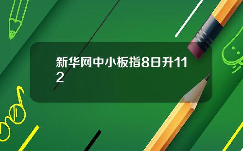 新华网中小板指8日升112