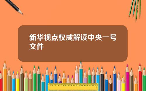 新华视点权威解读中央一号文件