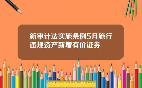 新审计法实施条例5月施行违规资产新增有价证券