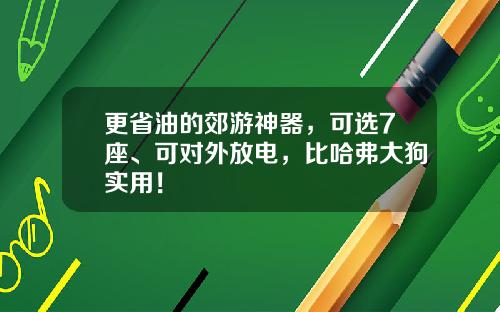 更省油的郊游神器，可选7座、可对外放电，比哈弗大狗实用！