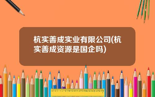 杭实善成实业有限公司(杭实善成资源是国企吗)