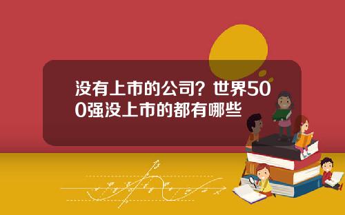 没有上市的公司？世界500强没上市的都有哪些