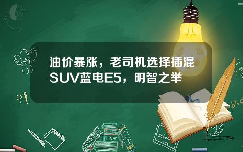 油价暴涨，老司机选择插混SUV蓝电E5，明智之举